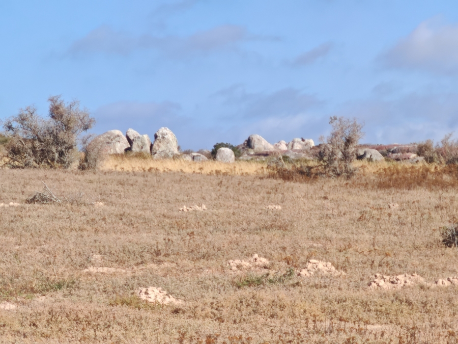 0 Bedroom Property for Sale in Langebaan Country Estate Western Cape